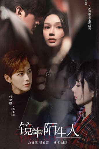 The Stranger in the Mirror